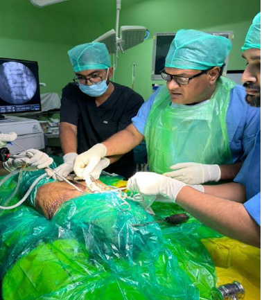 Cadaveric dissection